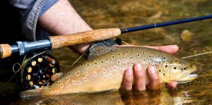 Fly fishing the middle fork of the salmon