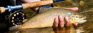 Fly Fishing the Middle Fork of the Salmon River