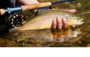 Fly fishing the middle fork of the salmon river