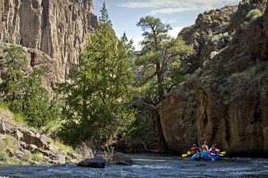 The Jarbidge/Bruneau River