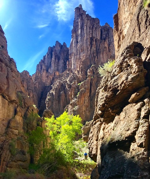 owyhee river float trips